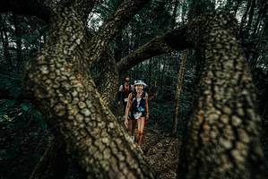 BIB: 
                            <button type="button" onclick="openModal(25682529)" class="btn btn-primary btn-sm float-right btn-popup" data-toggle="modal" data-target=".modal-high-quality">
                        <i class="fas fa-shopping-cart"></i> Add to Cart
                    </button>
                                            <button type="button" onclick="isThisMe(25682529, true)" class="btn btn-success btn-sm float-right btn-popup btn-isme hidden" data-toggle="tooltip" data-placement="bottom" title="นี่คือรูปของคุณใช่ไหม คลิกที่นี่เพื่อเอาเข้าอัลบั้ม">
                        <i class="fas fa-plus"></i> Add to album
                    </button>
                    <button type="button" onclick="isThisMe(25682529, false)" class="btn btn-warning btn-sm float-right btn-popup btn-isnotme hidden">
                        <i class="fas fa-ban"></i> Remove from album
                    </button>